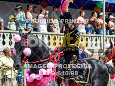 Detalhes da foto #97702