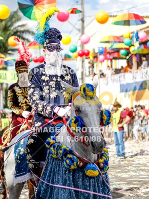 Detalhes da foto #23356