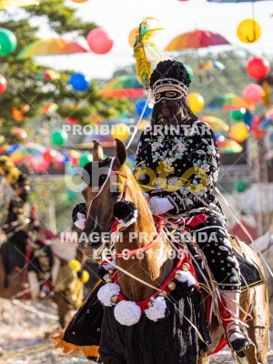 Detalhes da foto #75882