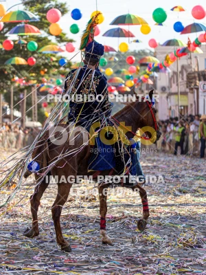 Detalhes da foto #97600