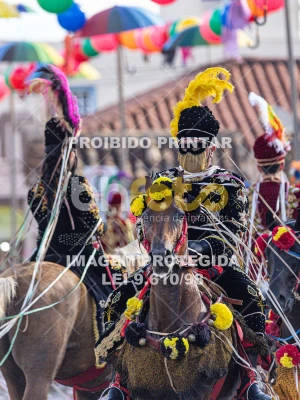 Detalhes da foto #78609