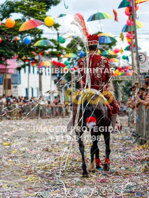 Detalhes da foto #30762