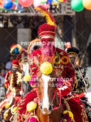 Detalhes da foto #36183