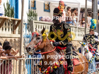 Detalhes da foto #28495