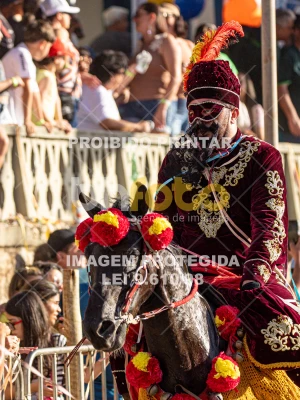 Detalhes da foto #88161