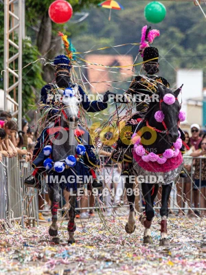 Detalhes da foto #87244