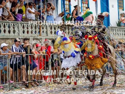 Detalhes da foto #55263