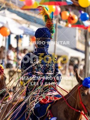 Detalhes da foto #92532