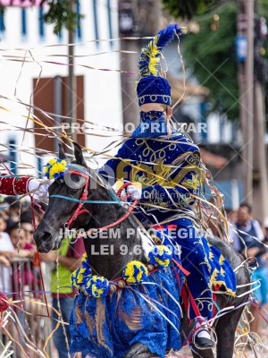 Detalhes da foto #91196