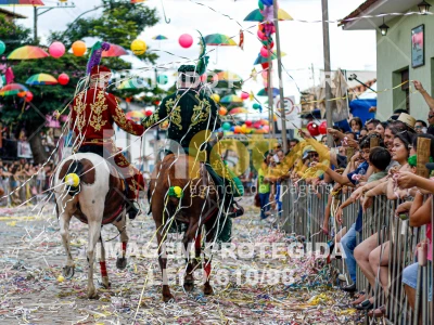 Detalhes da foto #42978