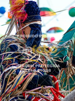 Detalhes da foto #53272