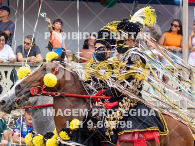 Detalhes da foto #60208