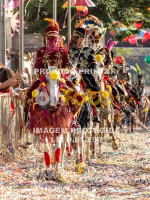 Detalhes da foto #76054