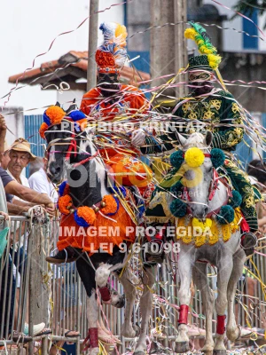 Detalhes da foto #37650