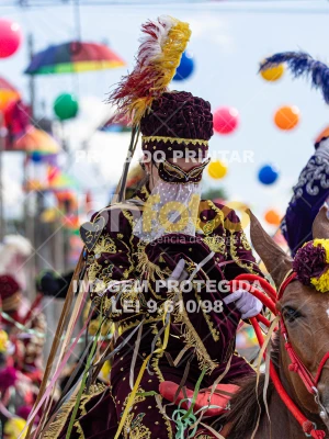 Detalhes da foto #98226