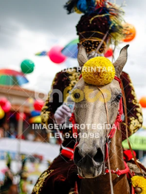 Detalhes da foto #53950