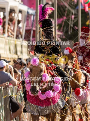 Detalhes da foto #66479