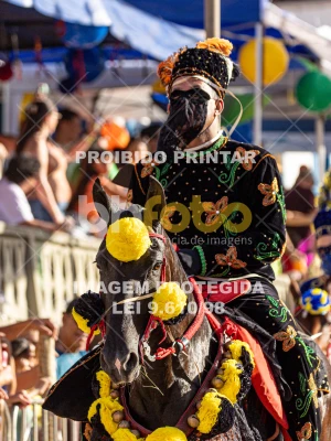 Detalhes da foto #80387