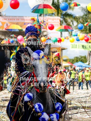 Detalhes da foto #37122