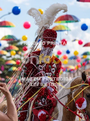 Detalhes da foto #11892