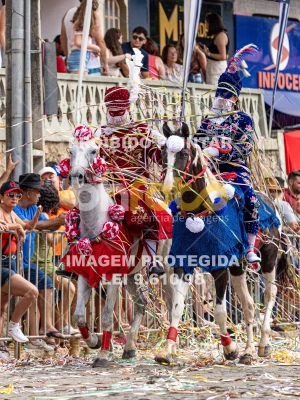 Detalhes da foto #33749