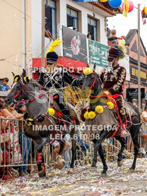 Detalhes da foto #91237