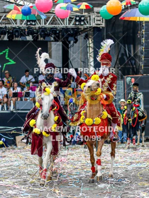 Detalhes da foto #27270