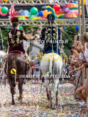 Detalhes da foto #51968