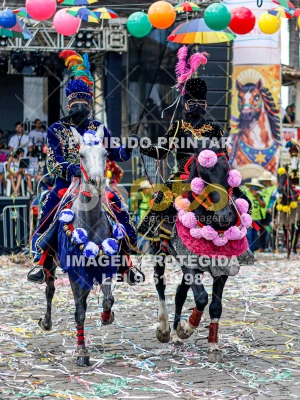 Detalhes da foto #73761