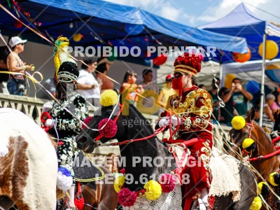 Detalhes da foto #51301