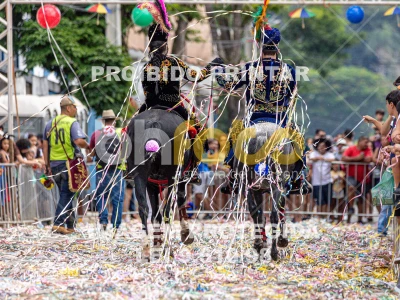 Detalhes da foto #72954