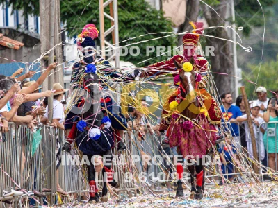 Detalhes da foto #98119