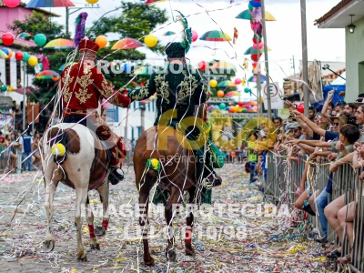 Detalhes da foto #25273