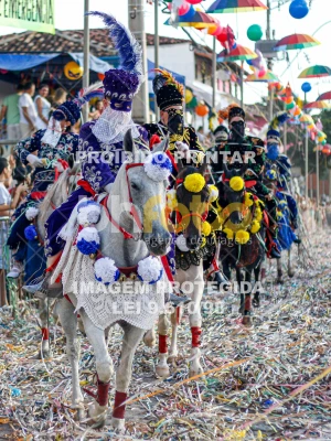 Detalhes da foto #93872