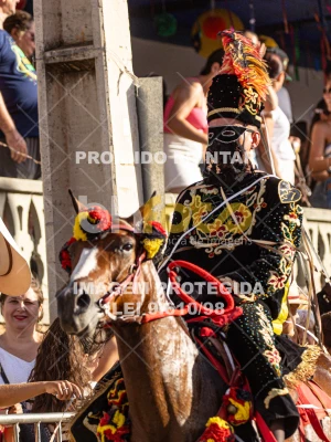 Detalhes da foto #77068