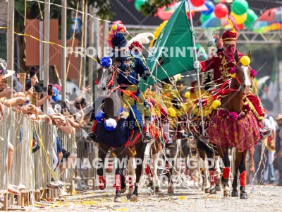 Detalhes da foto #91653