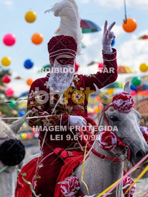 Detalhes da foto #75078