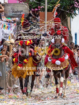 Detalhes da foto #74212