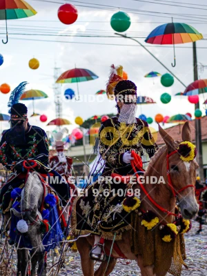 Detalhes da foto #27116