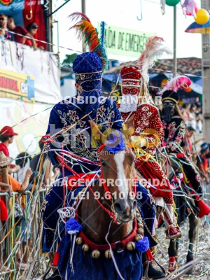 Detalhes da foto #98985