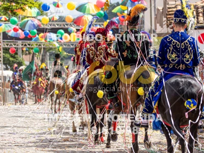 Detalhes da foto #93789