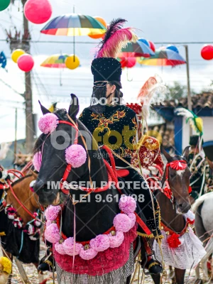 Detalhes da foto #81010