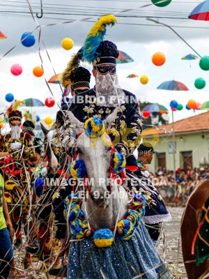 Detalhes da foto #19013