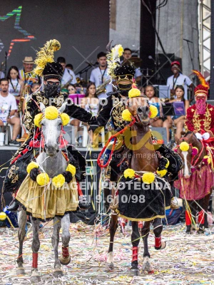 Detalhes da foto #86061