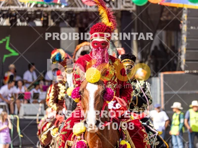 Detalhes da foto #84075