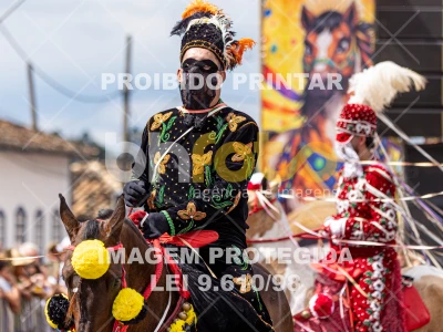 Detalhes da foto #48042