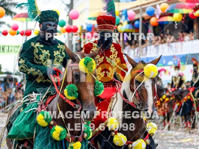 Detalhes da foto #36725