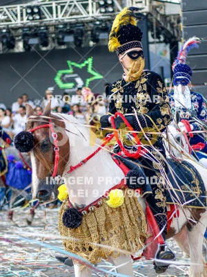 Detalhes da foto #79424