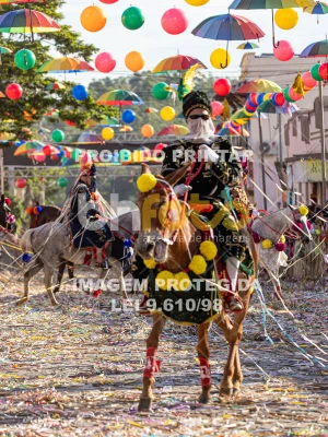 Detalhes da foto #27748