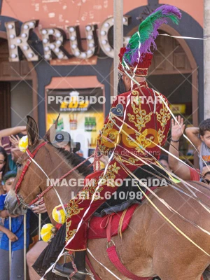 Detalhes da foto #93348